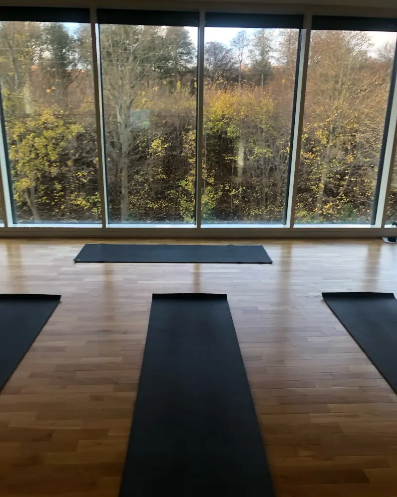 Yogasal med måtter og store vinduer ud mod træerne