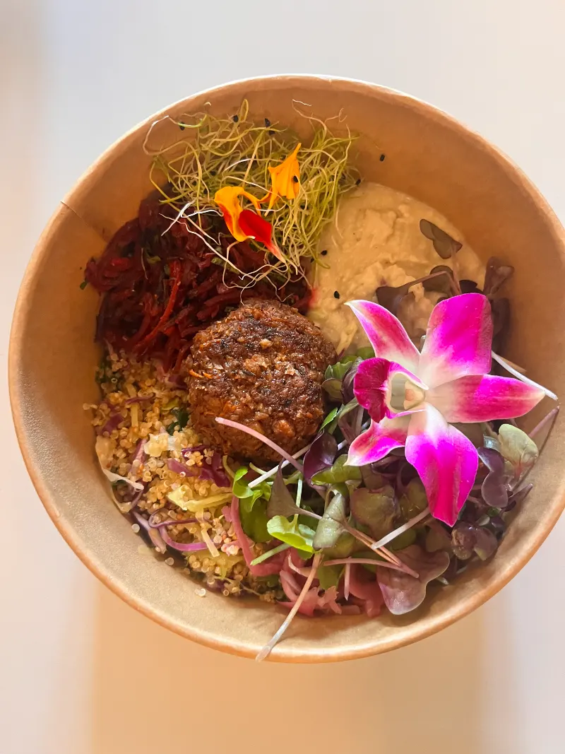 Skål med falafel, quinoa, hummus, spirer og spiselige blomster